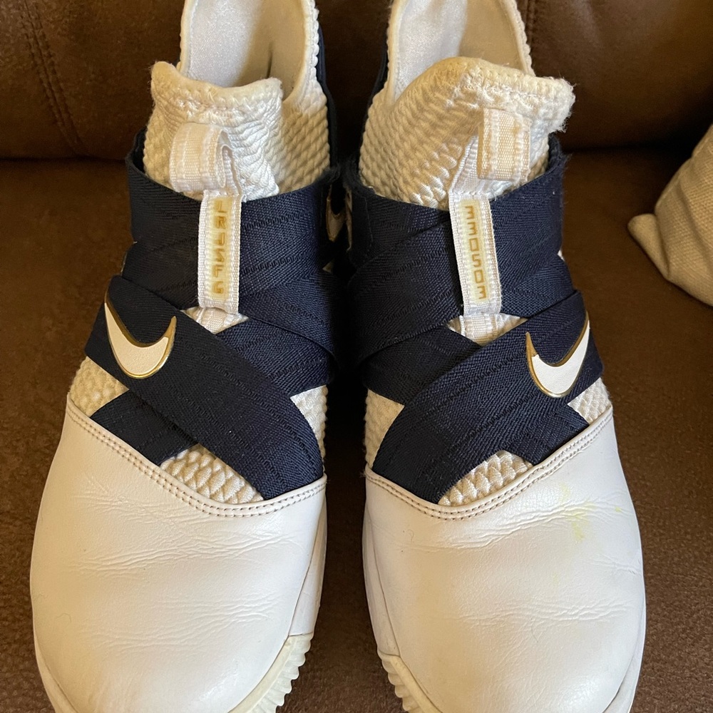 Mens Nike Lebron James Basketball shoes size 11.5